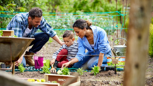 10 Essential Tips for Eco-Friendly Gardening: Sustainable Practices for a Greener Garden