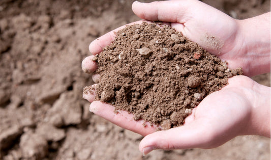 Tips for Enhancing Soil Fertility and Health: A Comprehensive Guide